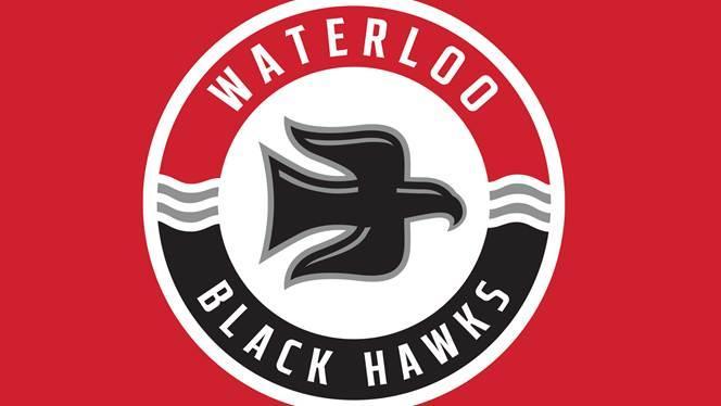 waterloo hawks ice hockey, waterloo hawks team history, waterloo hockey legacy, waterloo hawks memorabilia, waterloo hawks players, waterloo ice hockey team, waterloo hawks fan gear, waterloo hawks championships, waterloo hawks tickets, waterloo hawks merchandise